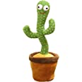 Dancing Cactus Talking Toy