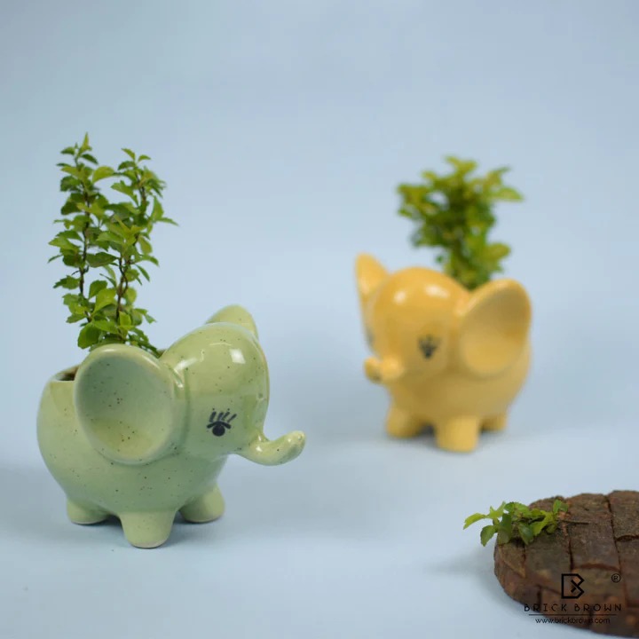 Valentine Day Combo (CERAMIC PLANTER CUTE ELEPHANT)