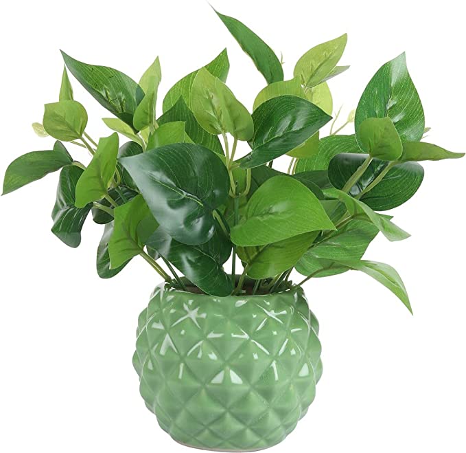 Diamond cut Ceramic Pot